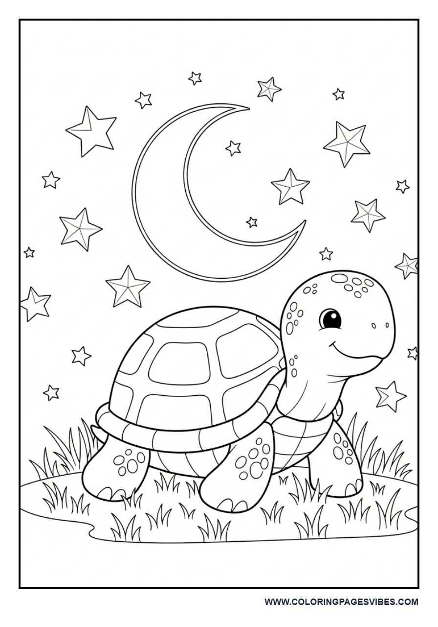 Turtle in Moonlight