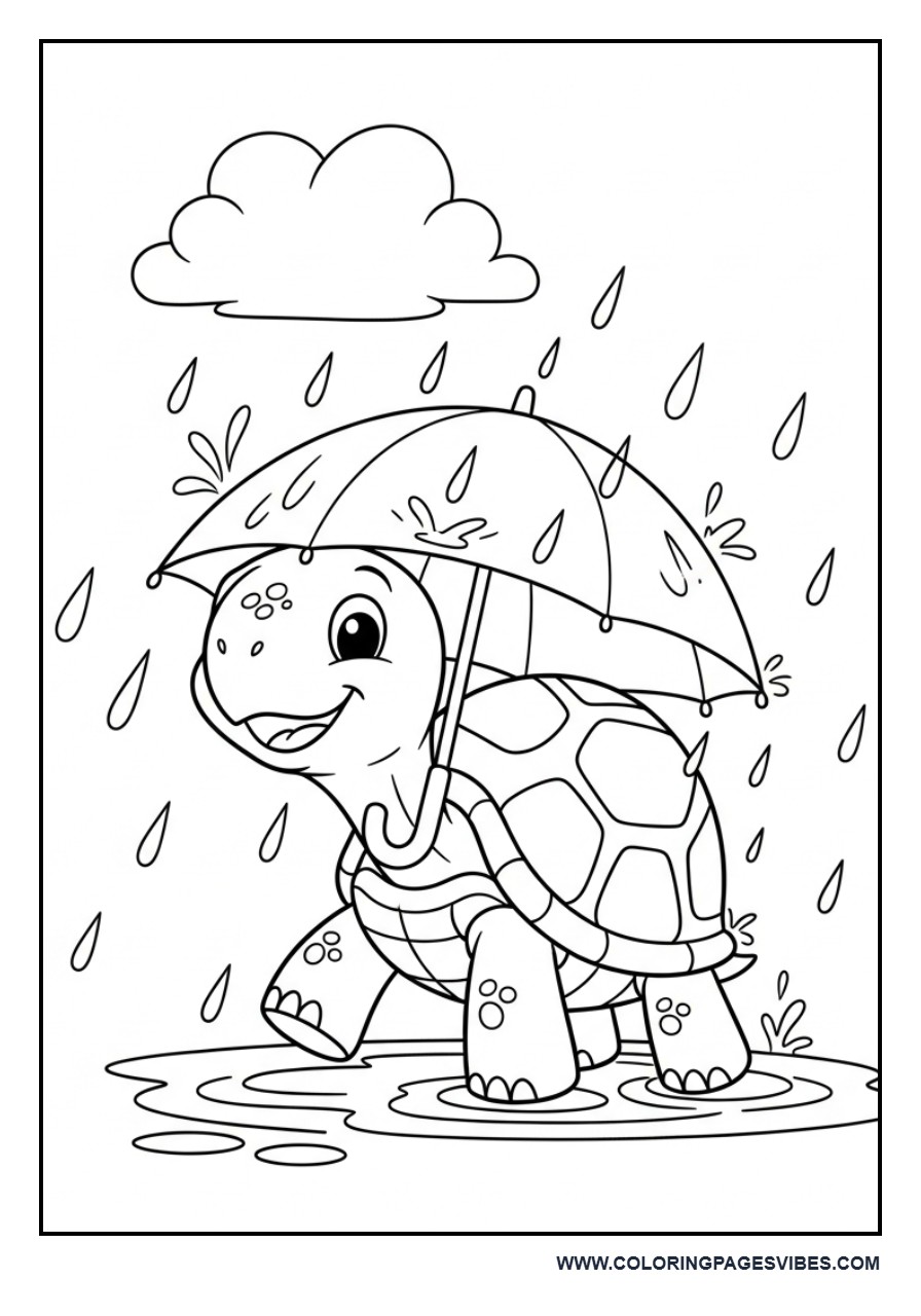 Turtle in Rain