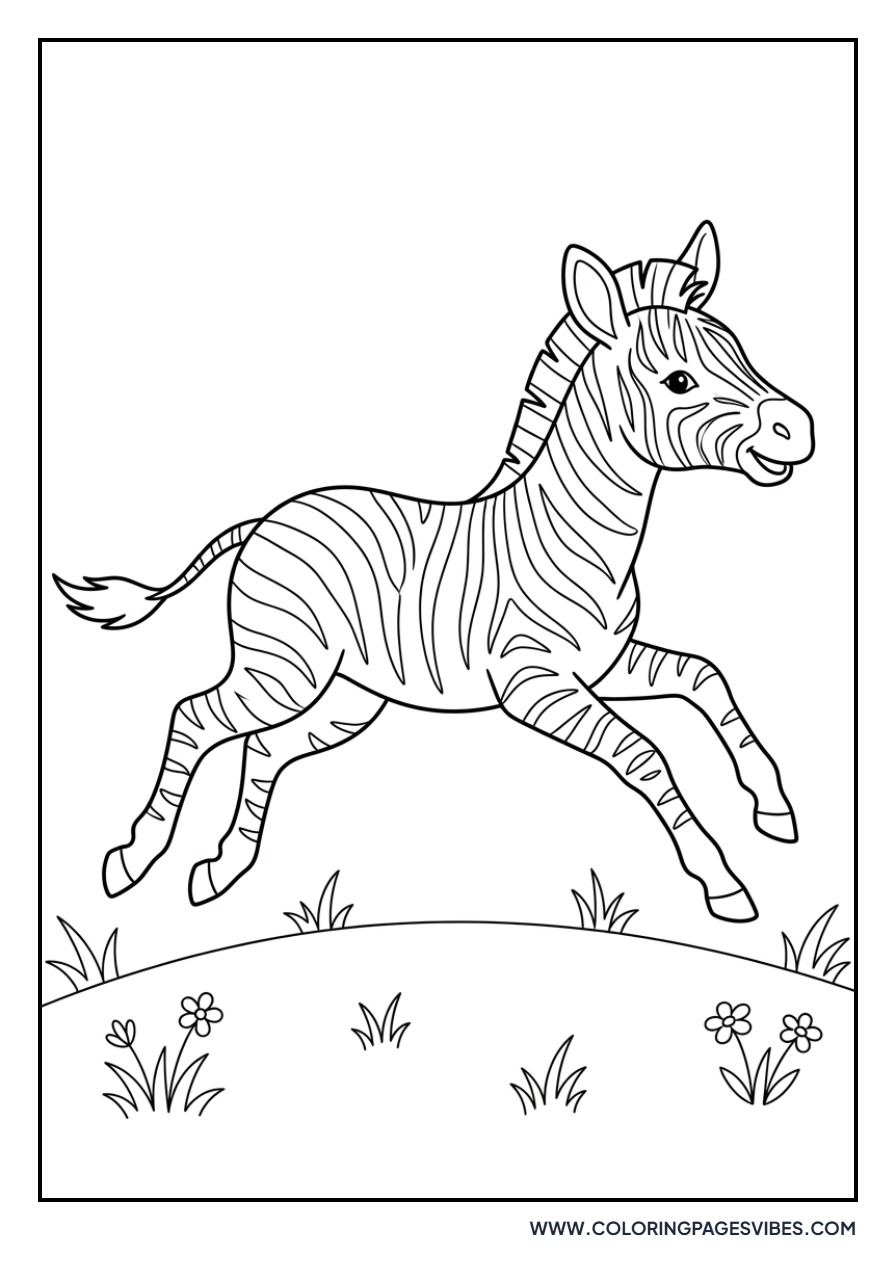 Running Zebra Calf