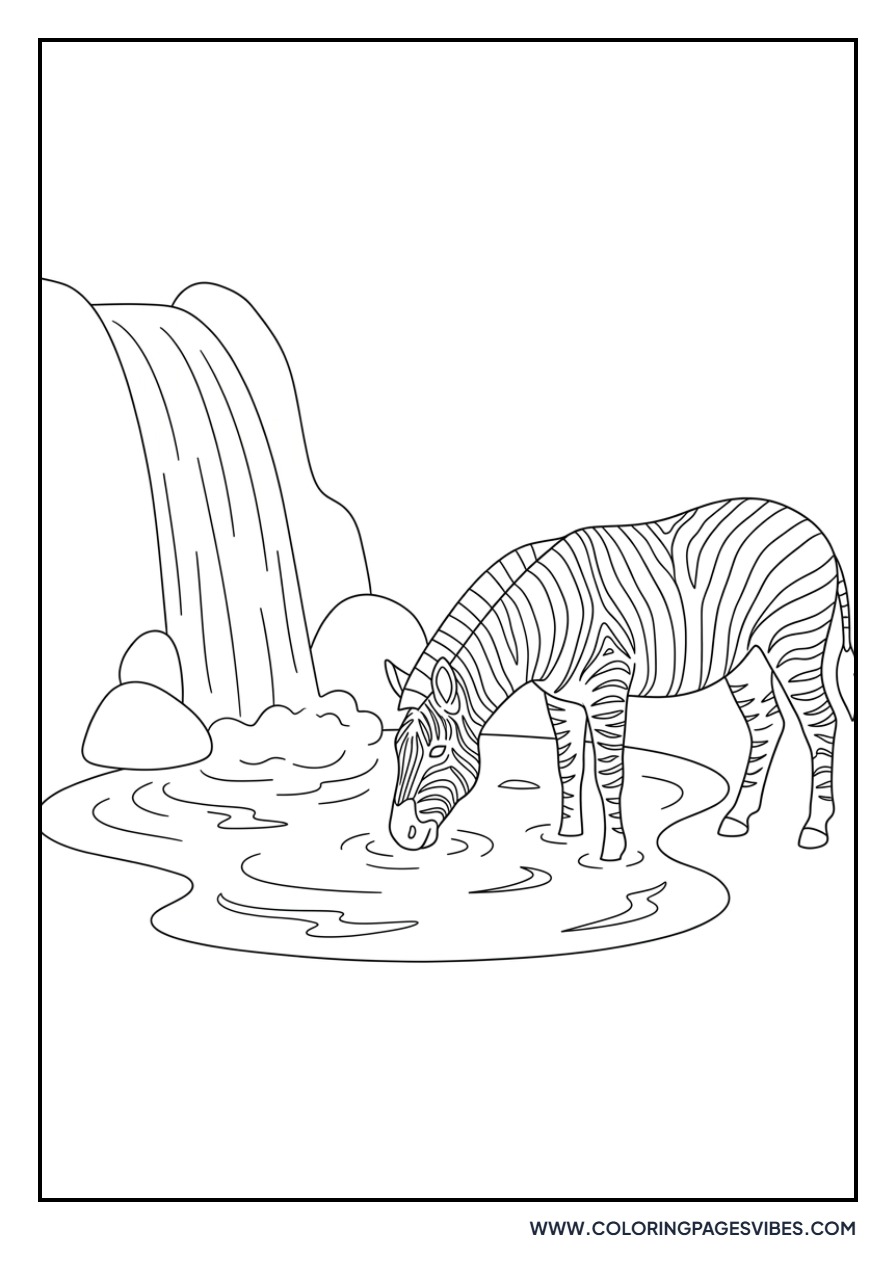 Zebra at a Waterfall