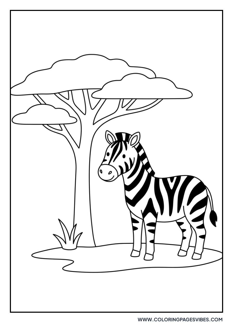 Zebra in the Savanna