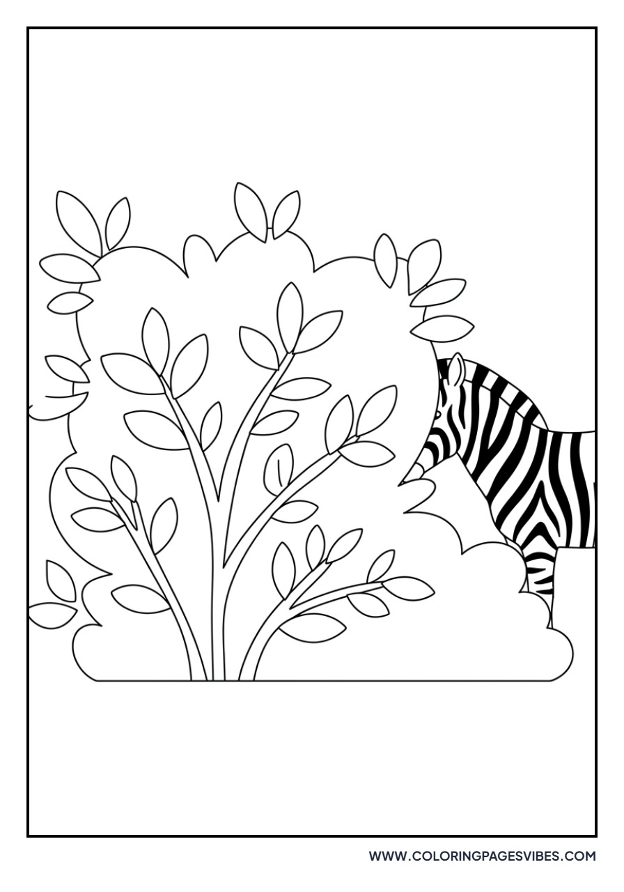 Zebra Playing Hide and Seek