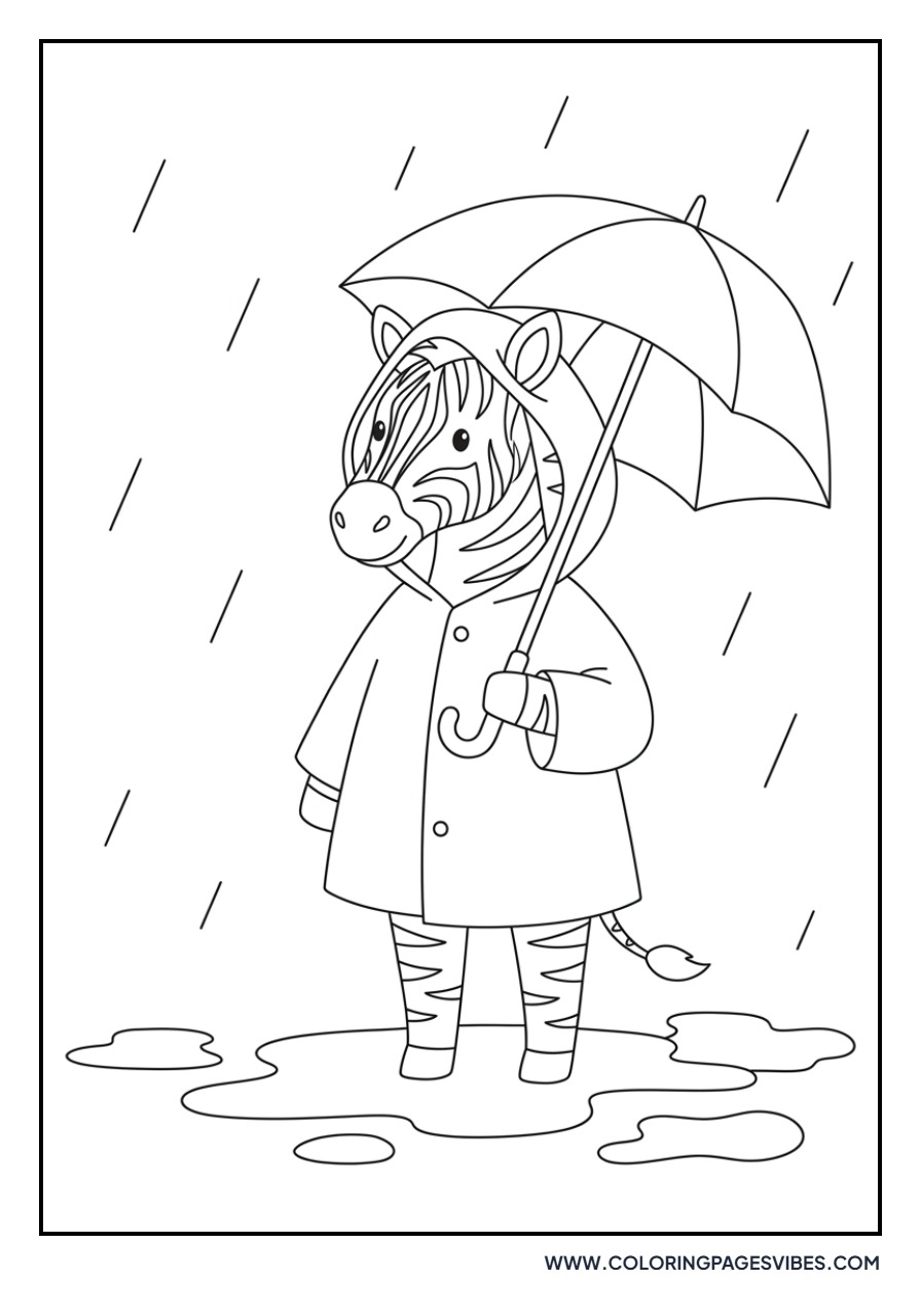 Zebra with a Raincoat