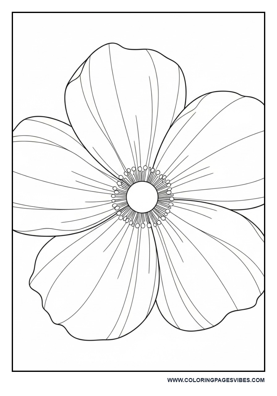 Big Petal Flower Close-Up