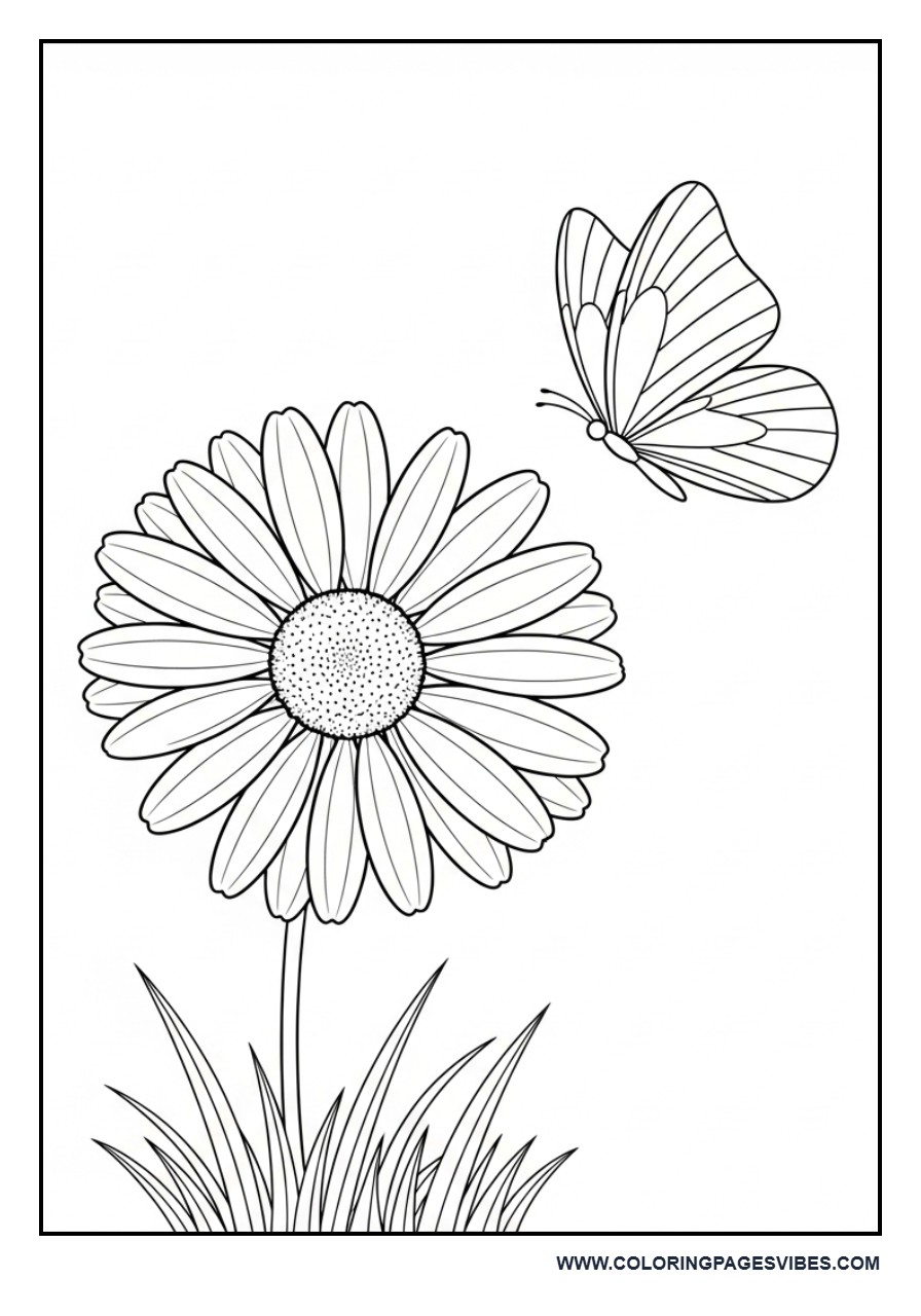 Daisy with Butterfly