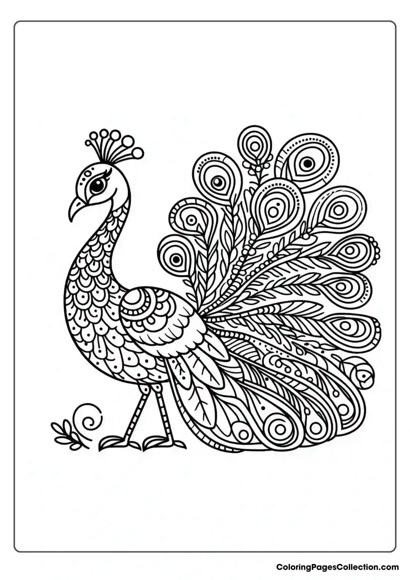 Peacock With Slightly More Realistic Body Shape