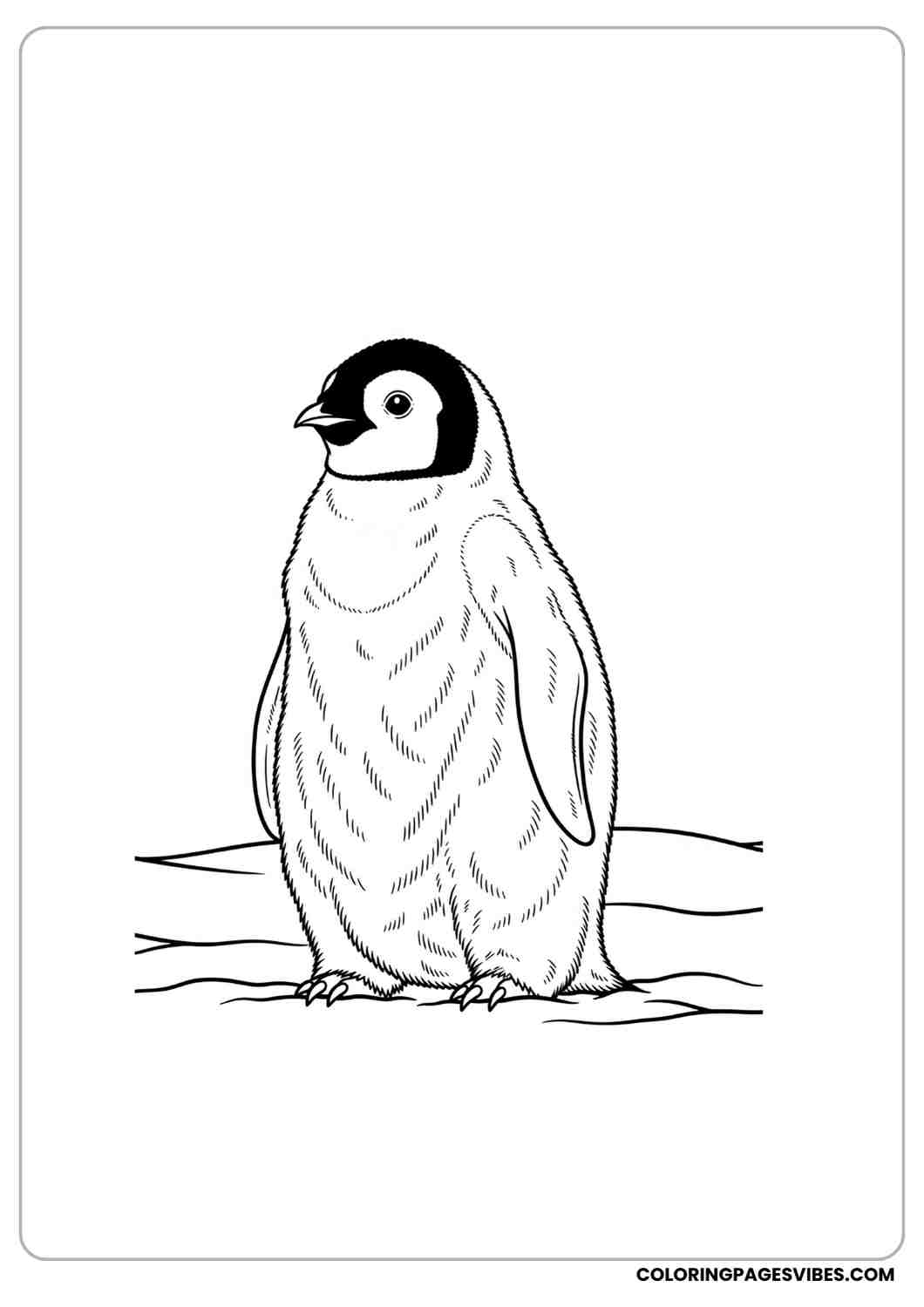 Realistic penguin coloring page with a single penguin standing in snow detailed body texture