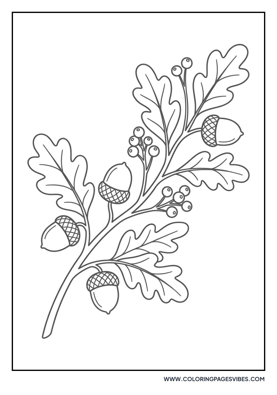 Acorn and Berries