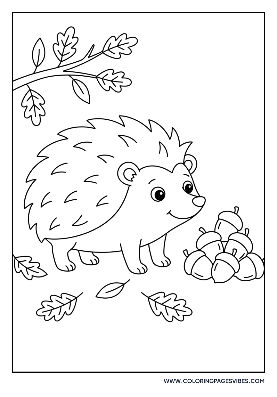 Acorn and Hedgehog