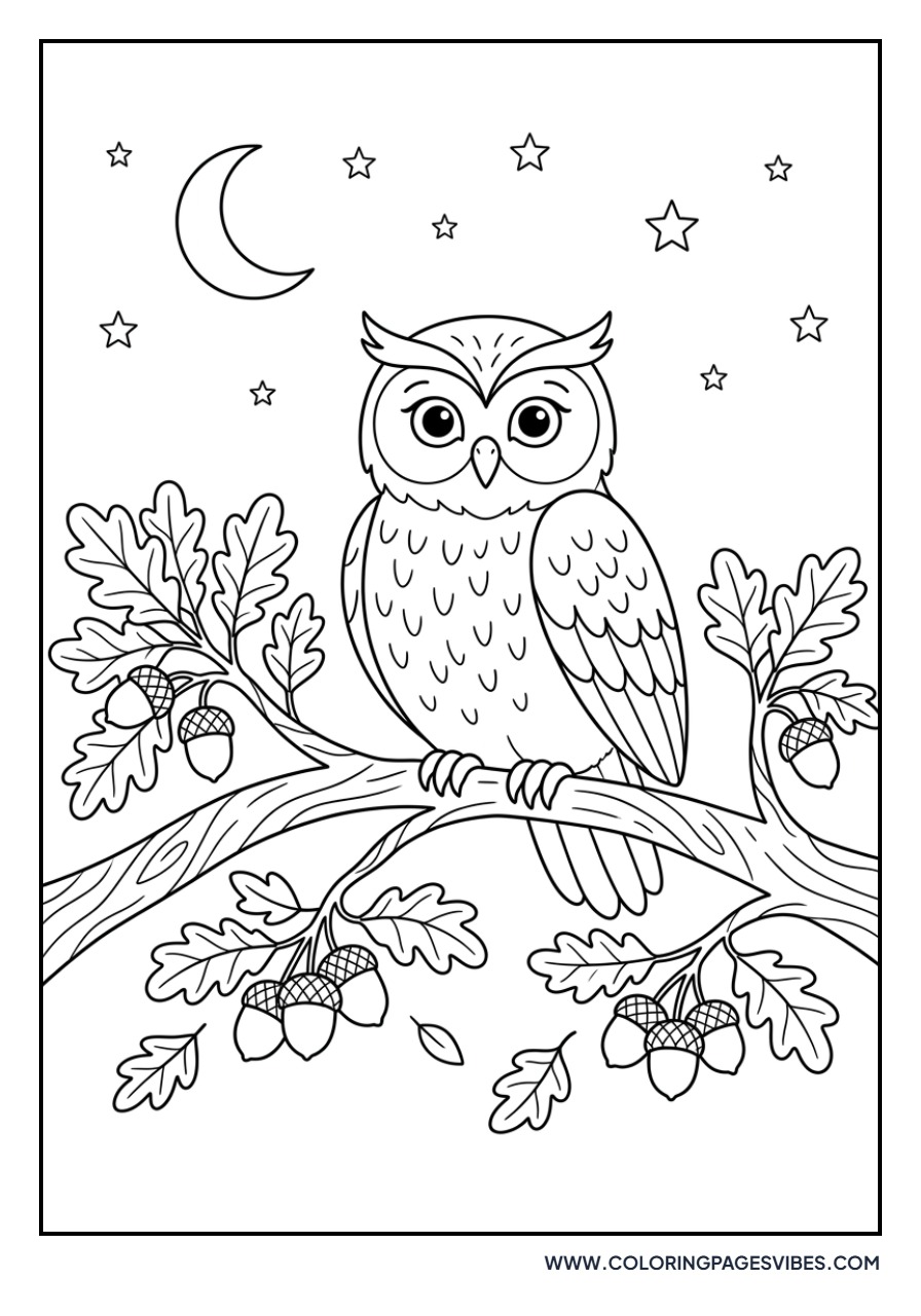 Acorn and Owl