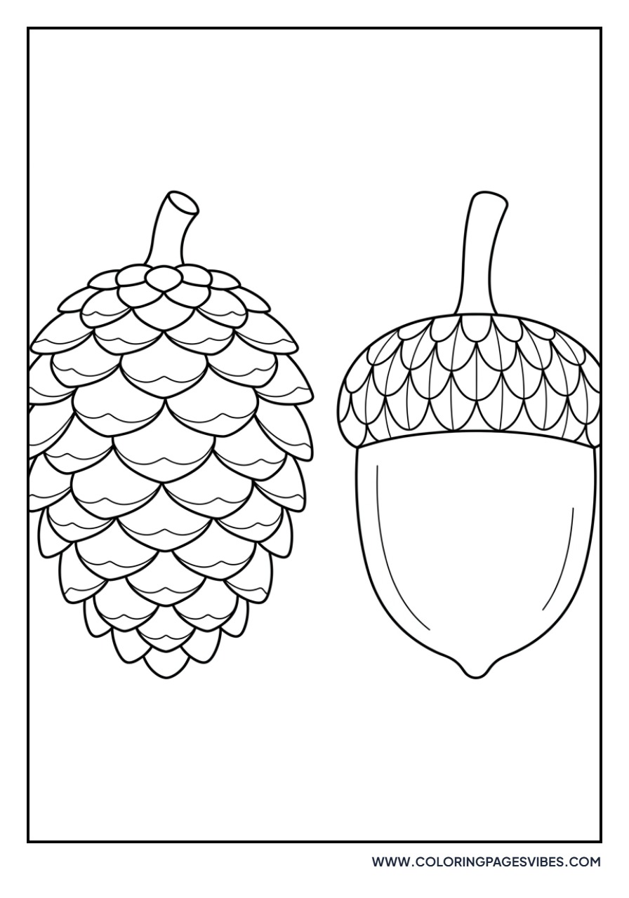 Acorn and Pinecone Pair