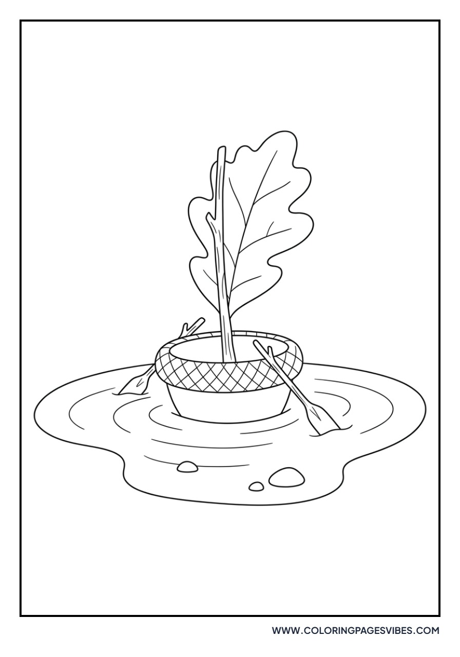 Acorn Boat in Puddle