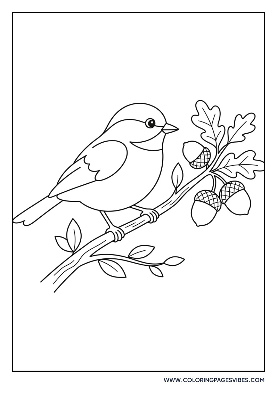 Bird and Acorn