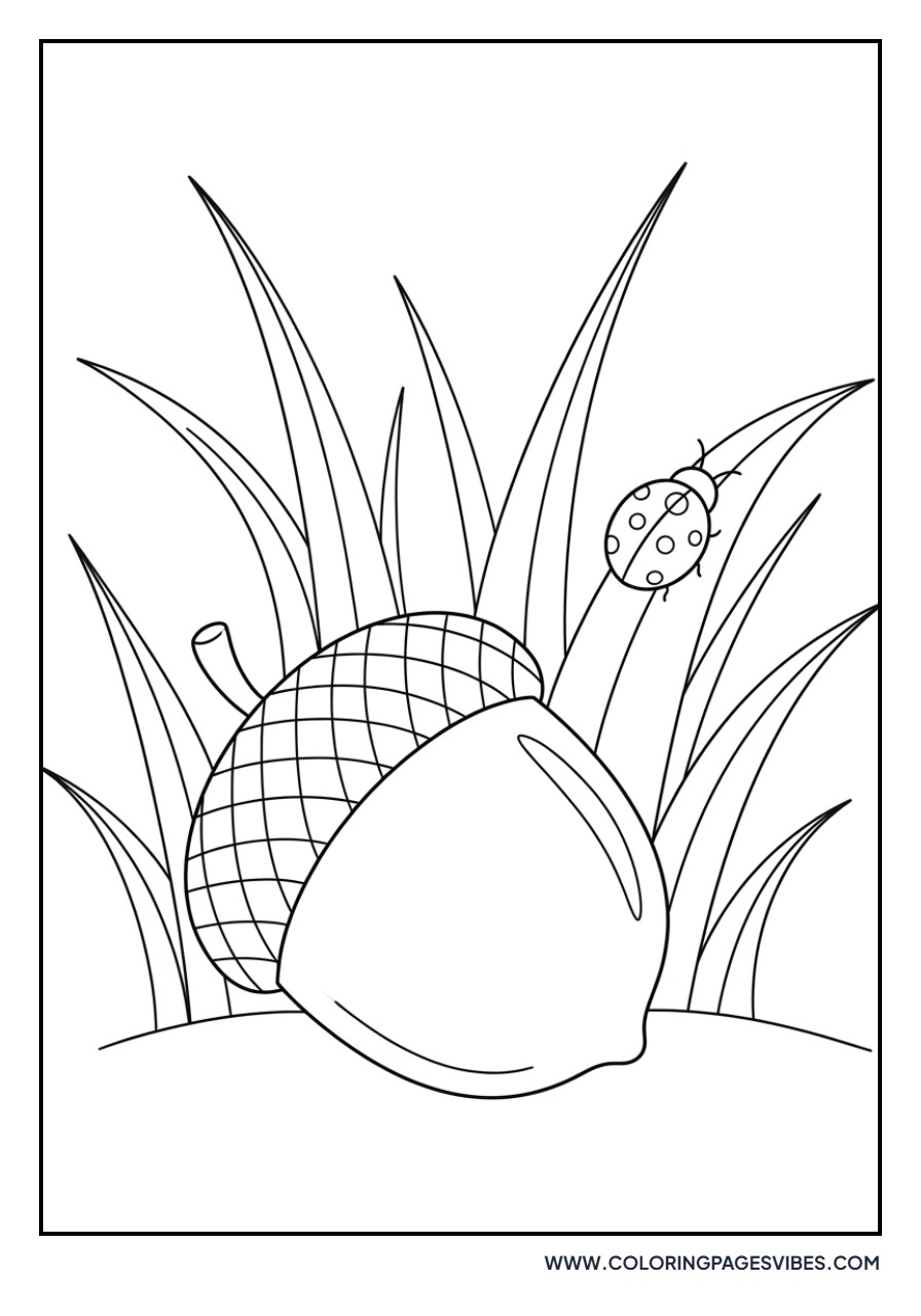 Giant Acorn among Grass