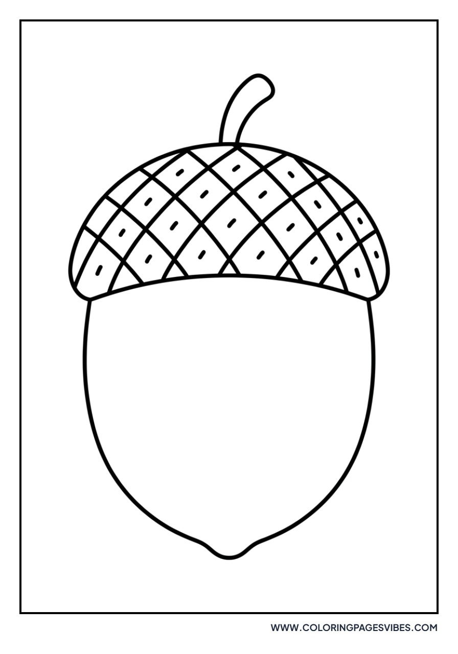 Simple Acorn Outline