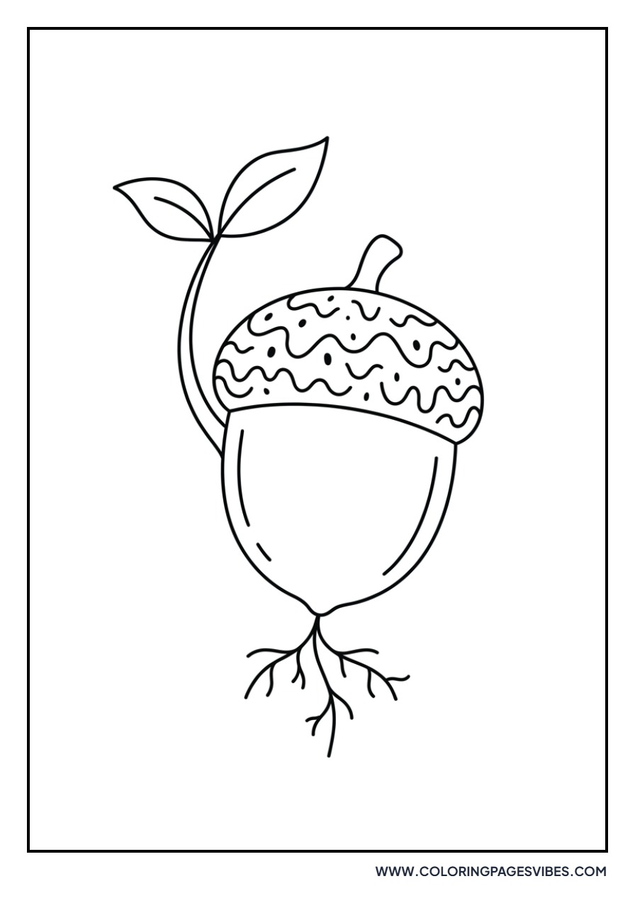 Sprouting Acorn