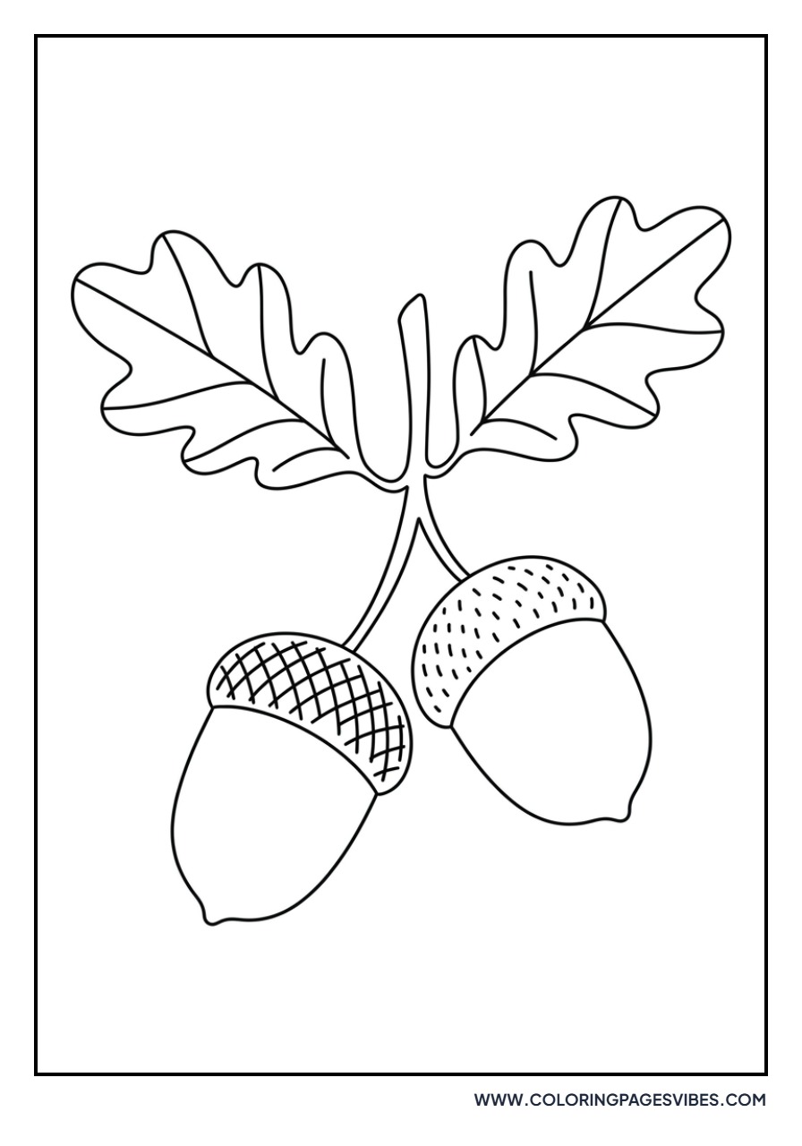 Two Acorns on a Branch