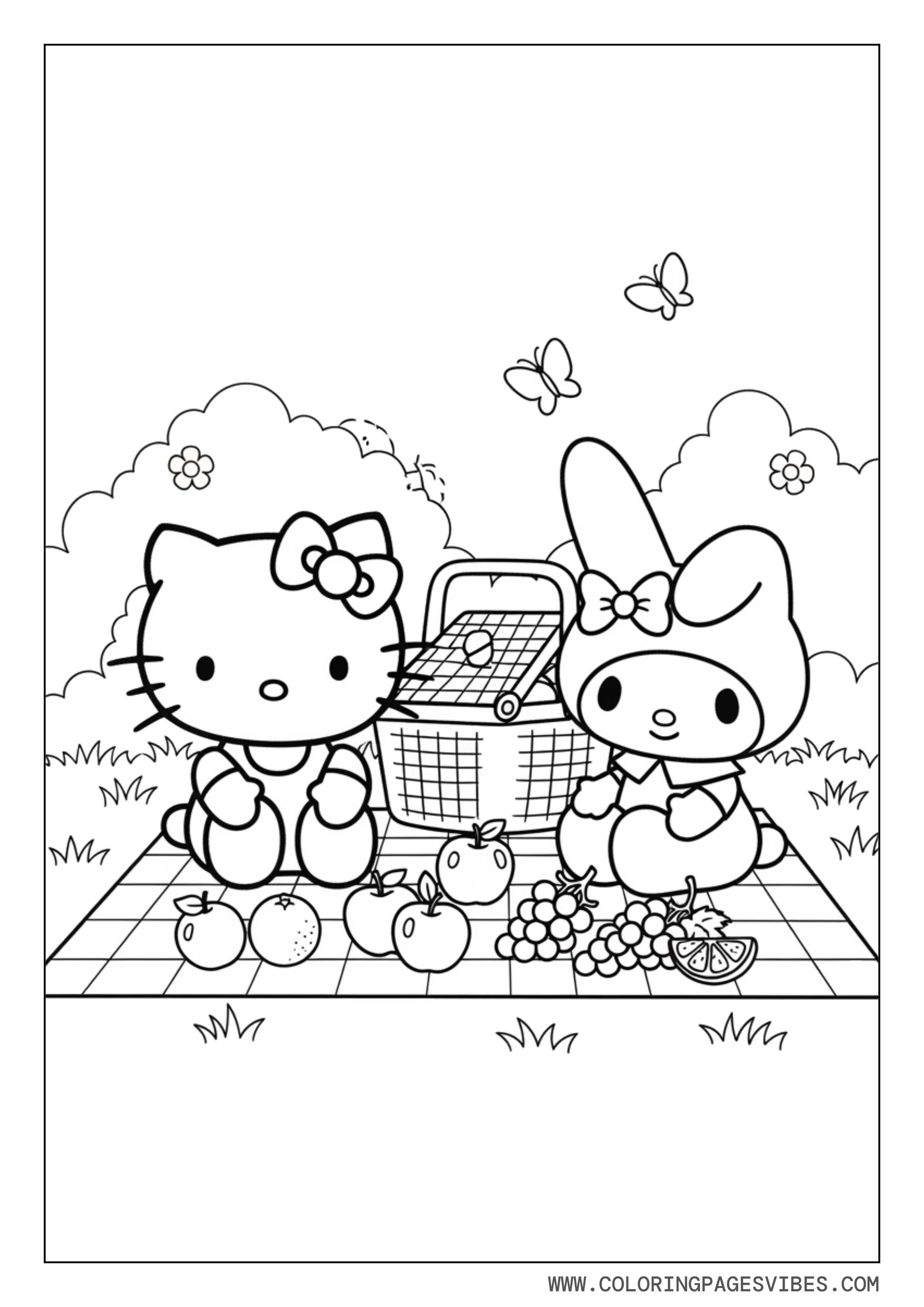 Hello Kitty and My Melody Picnic