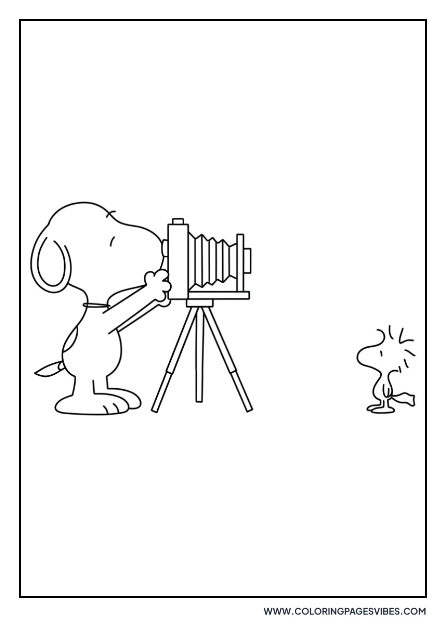Photographer Snoopy