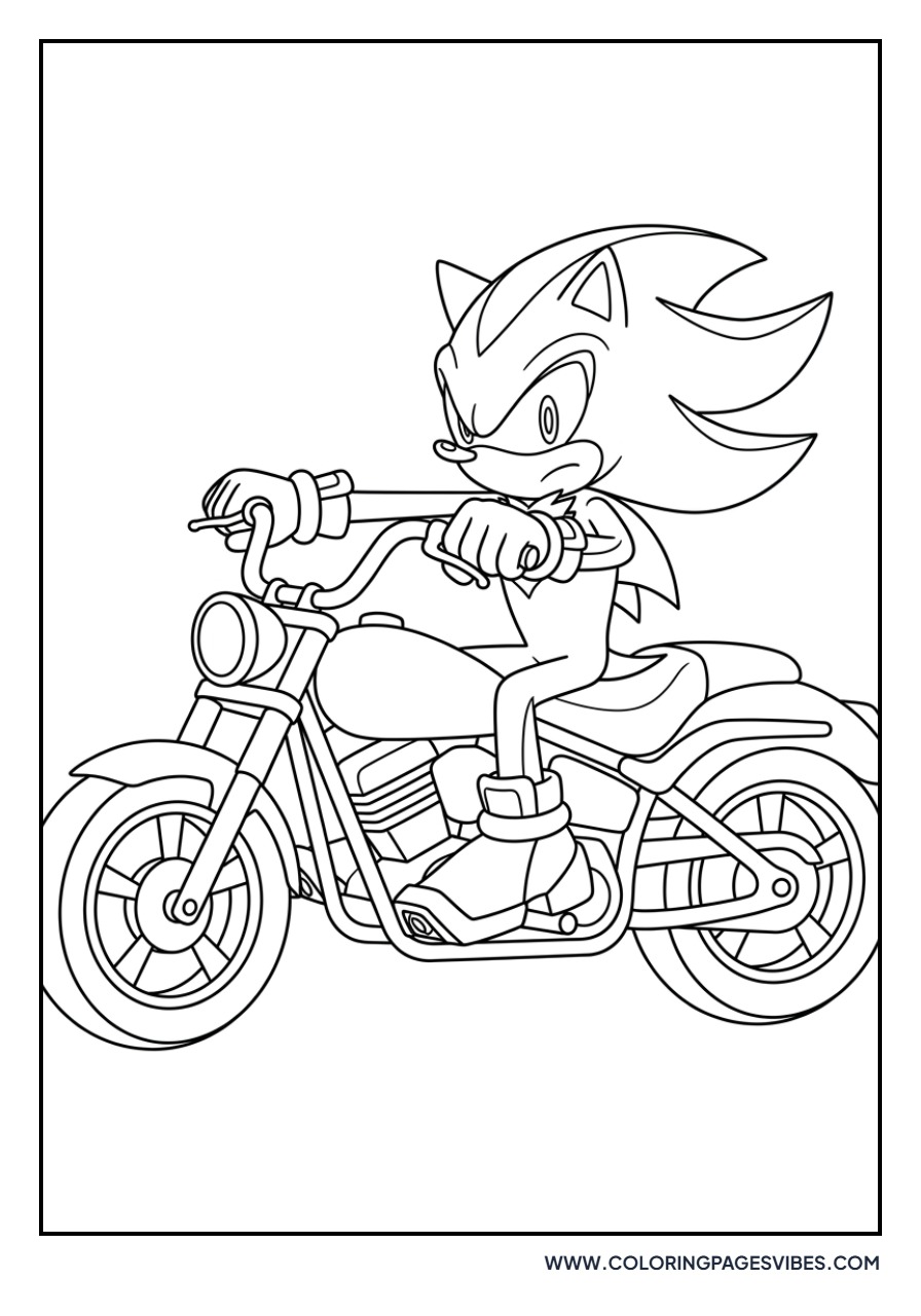 Shadow on Motorcycle