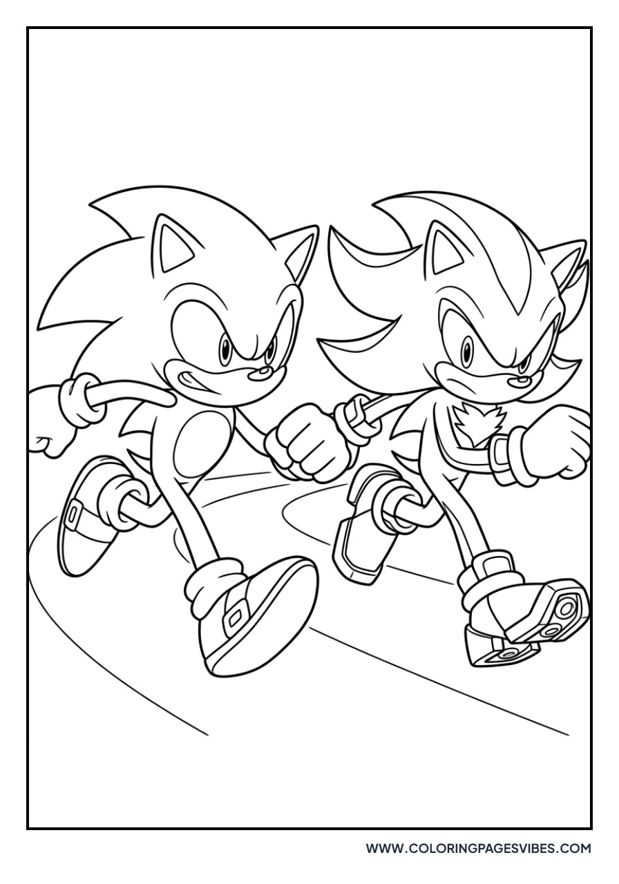 Sonic and Shadow Racing