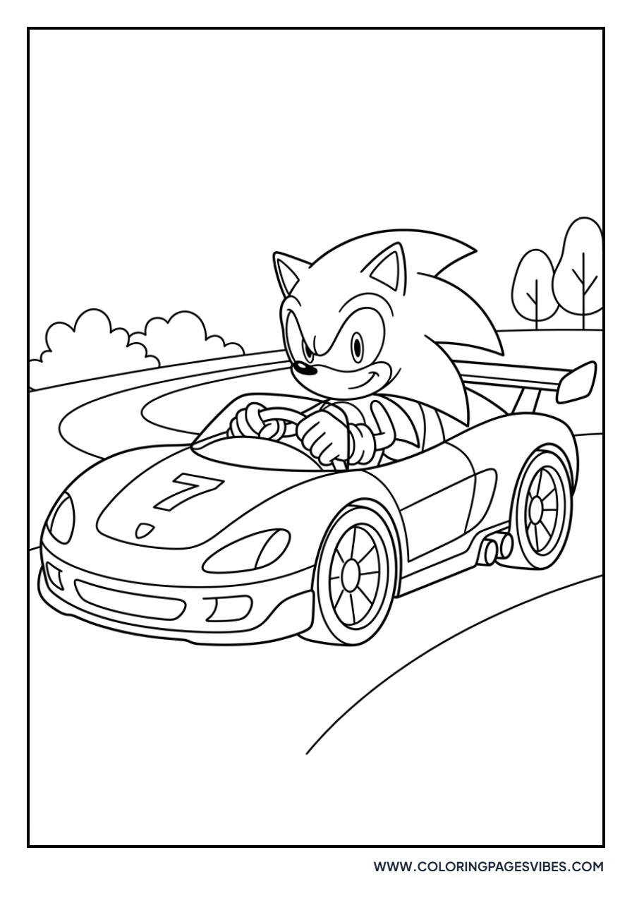 Sonic in Racing Car