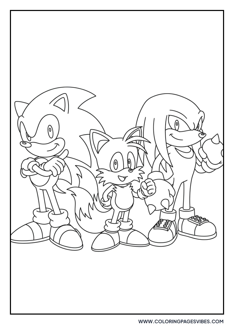 Team Sonic Group