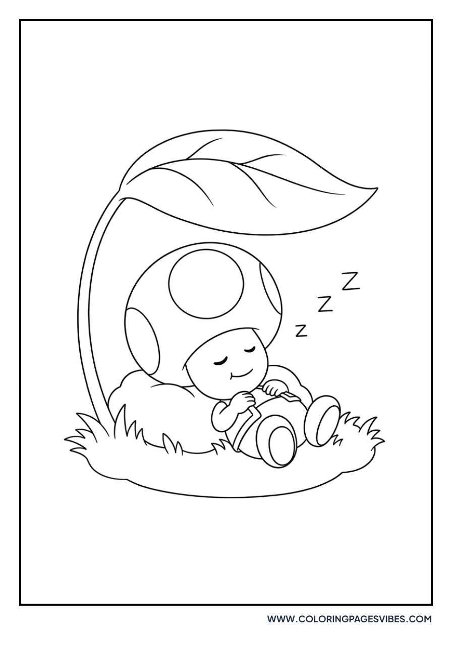 Sleepy Toad