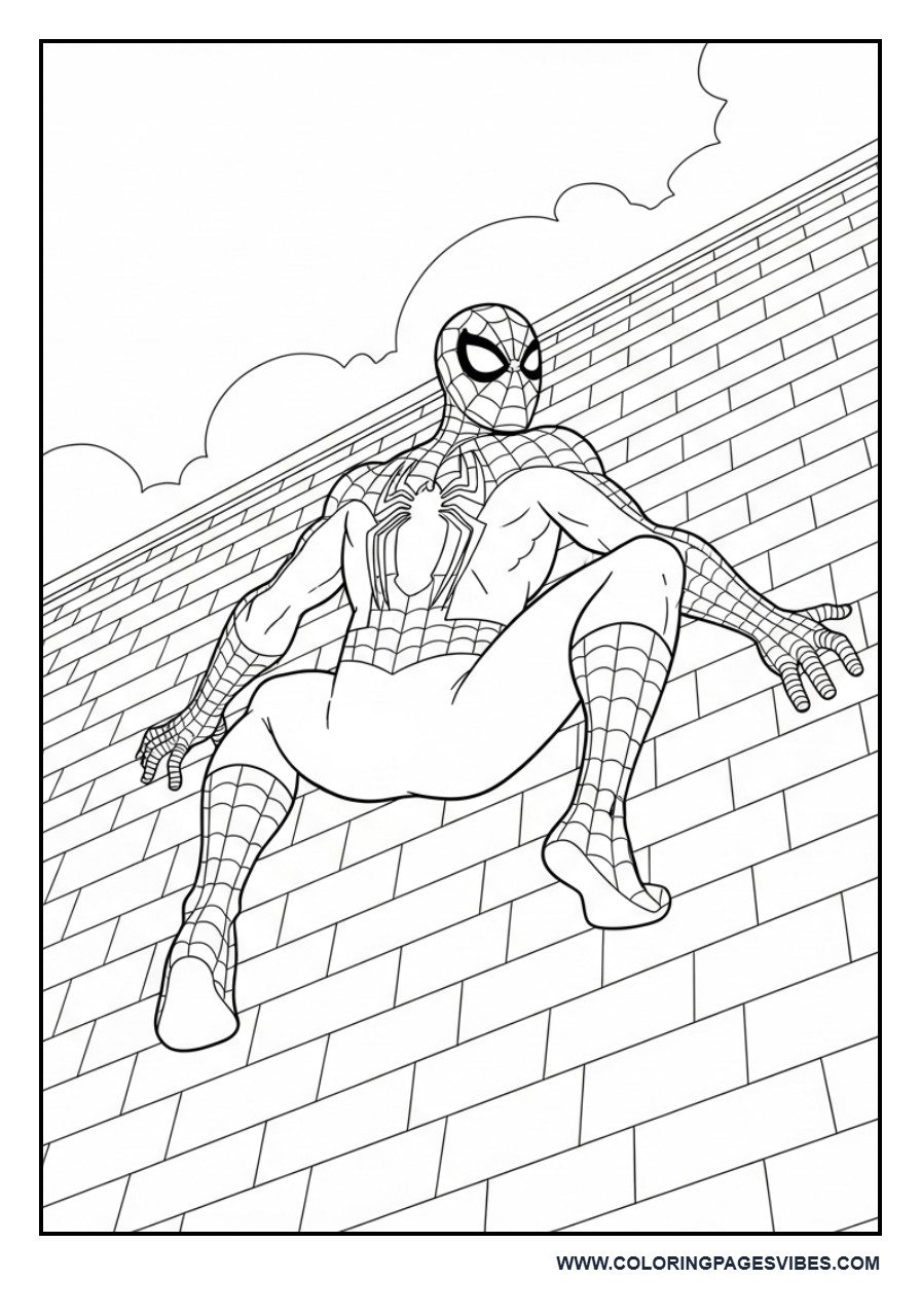 Spider-Man Climbing Wall