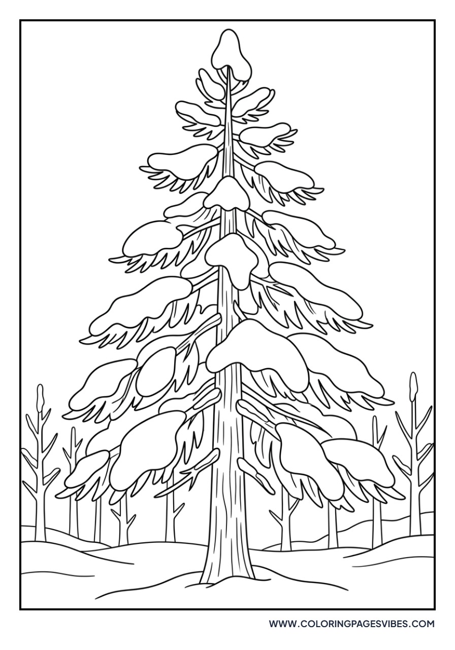 Snowy Pine Tree