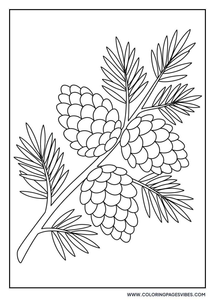 Winter Pinecones