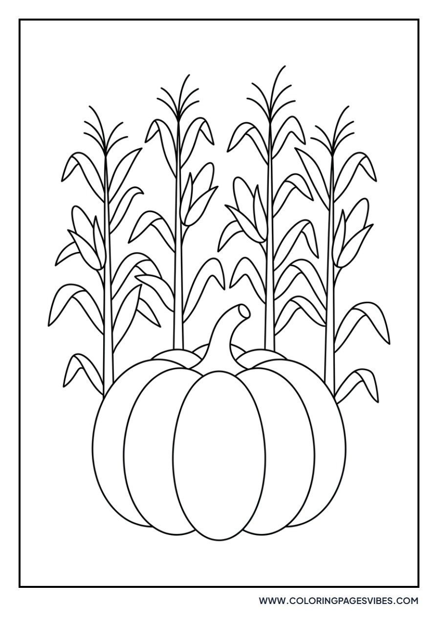 Pumpkin and Corn Stalks