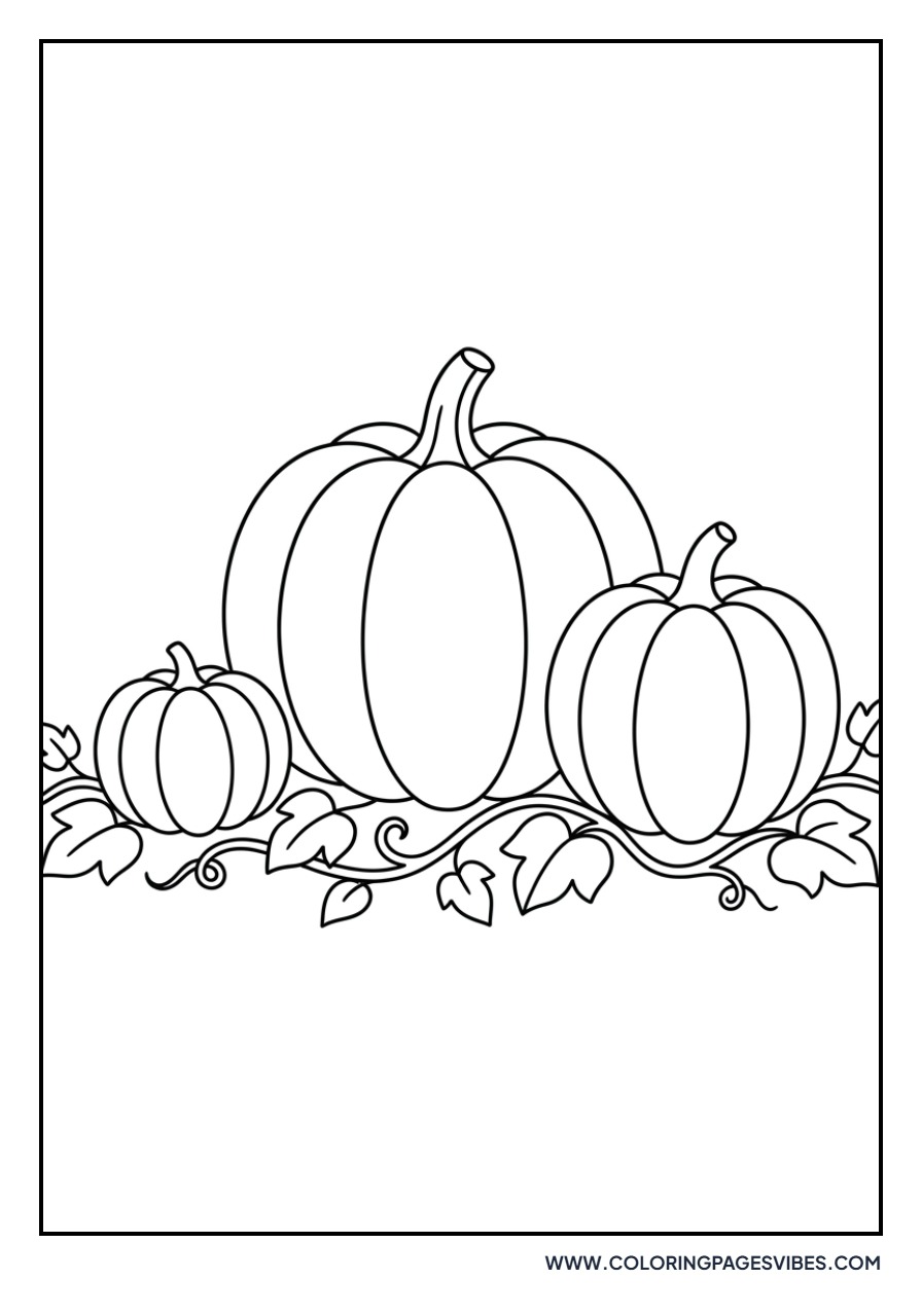 Pumpkin Patch Scenery