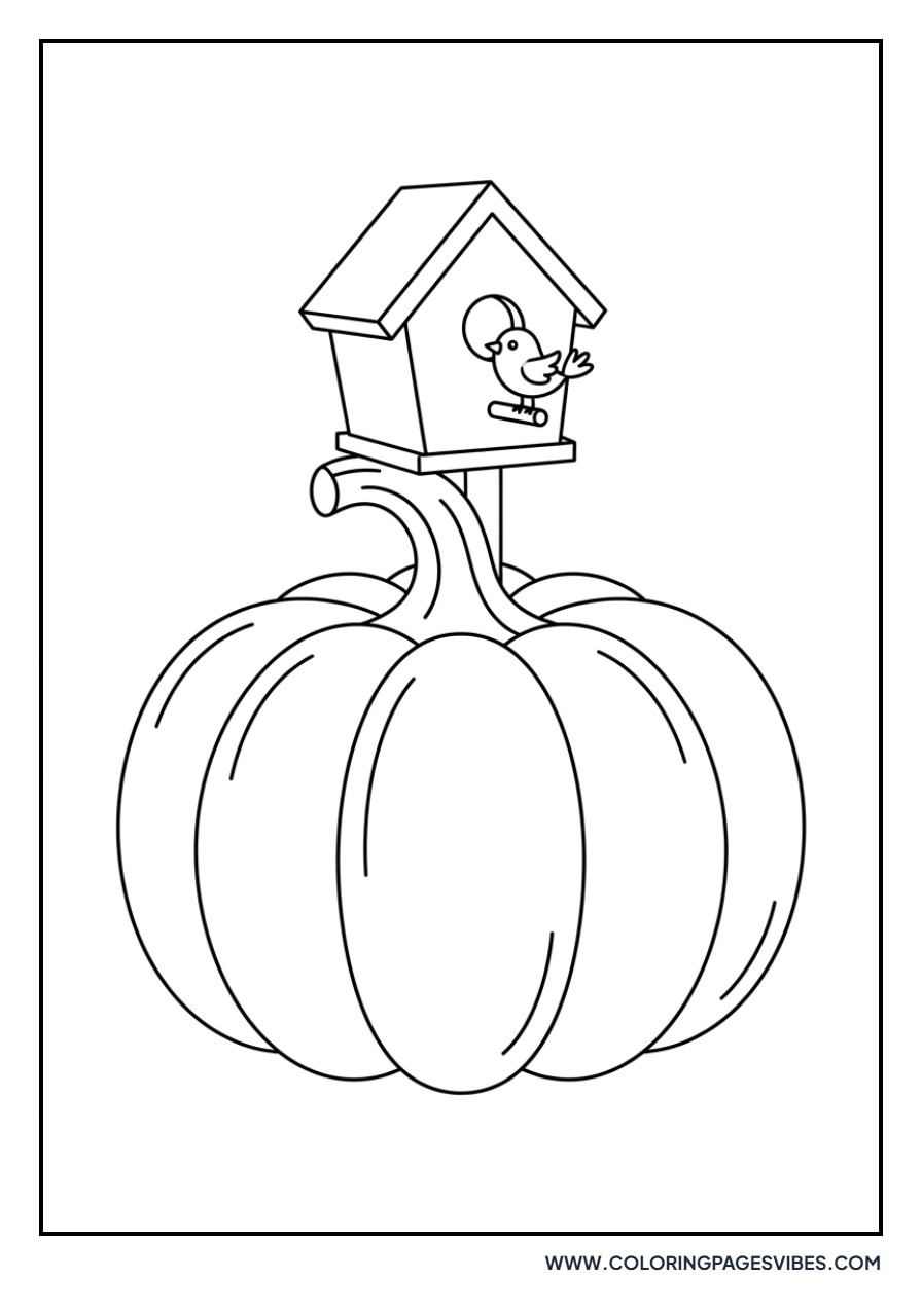 Pumpkin with a Birdhouse