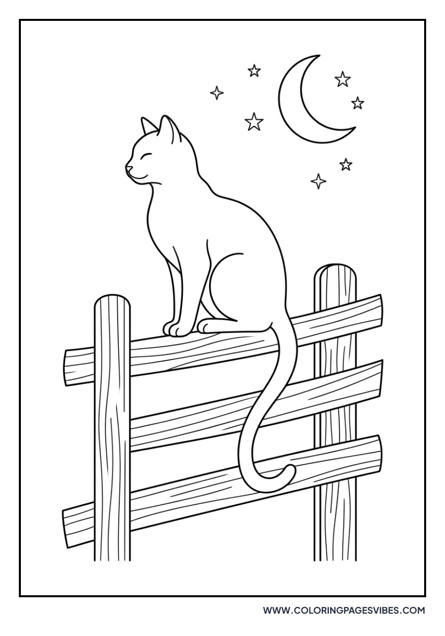 Black Cat on a Fence
