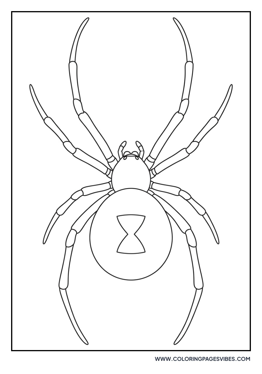 Black Widow Spider