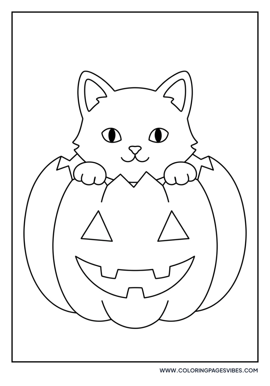Cat and Pumpkin