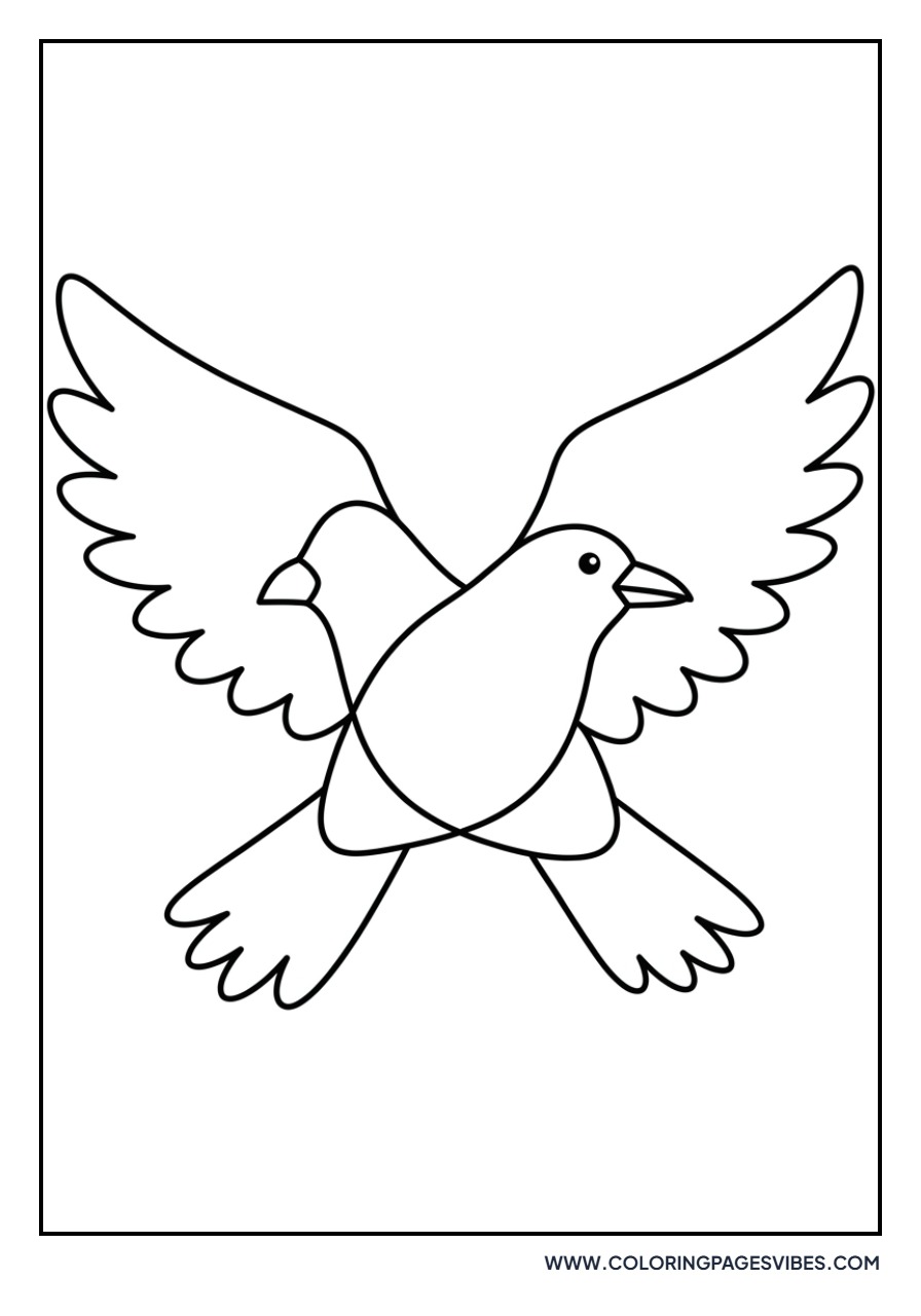 Flying Crow