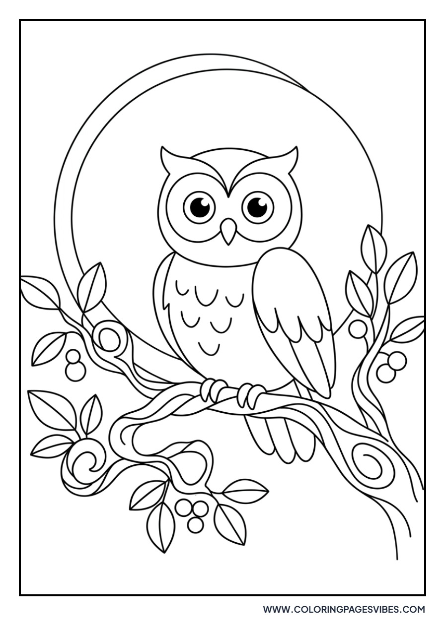 Full Moon and Owl