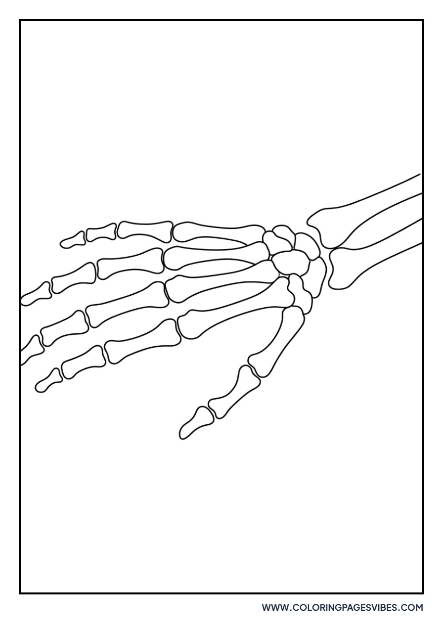 Skeleton Hand