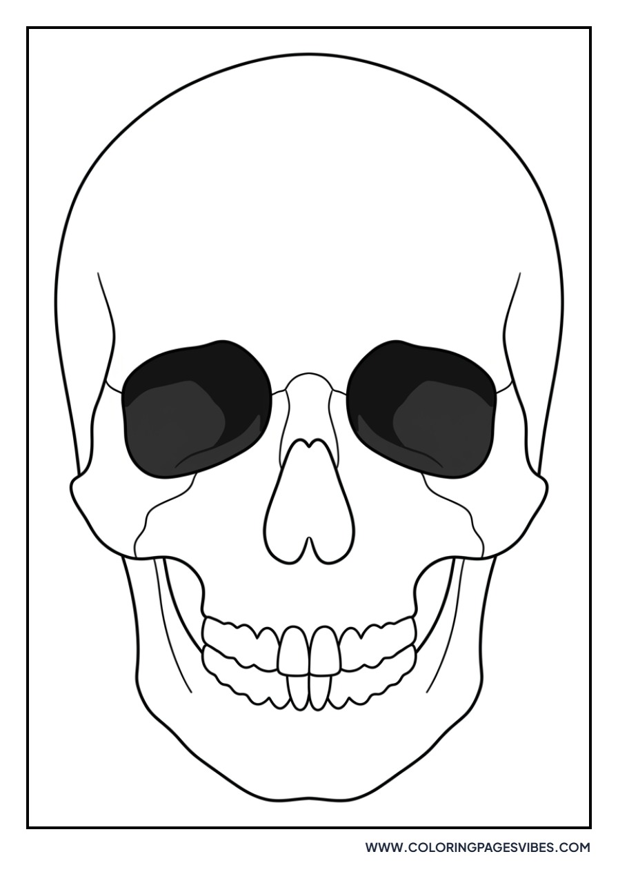 Skeleton Head