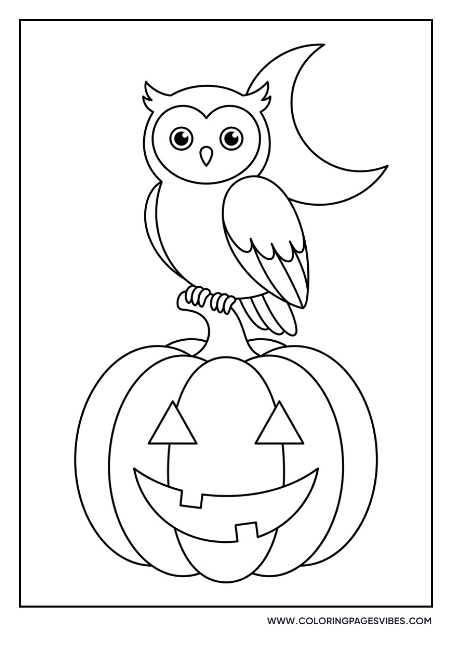 Jack O Lantern and Owl