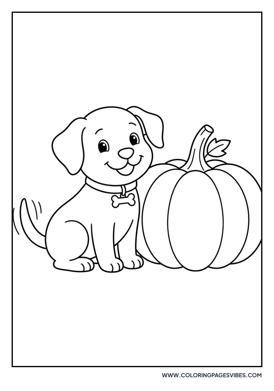Dog and Pumpkin