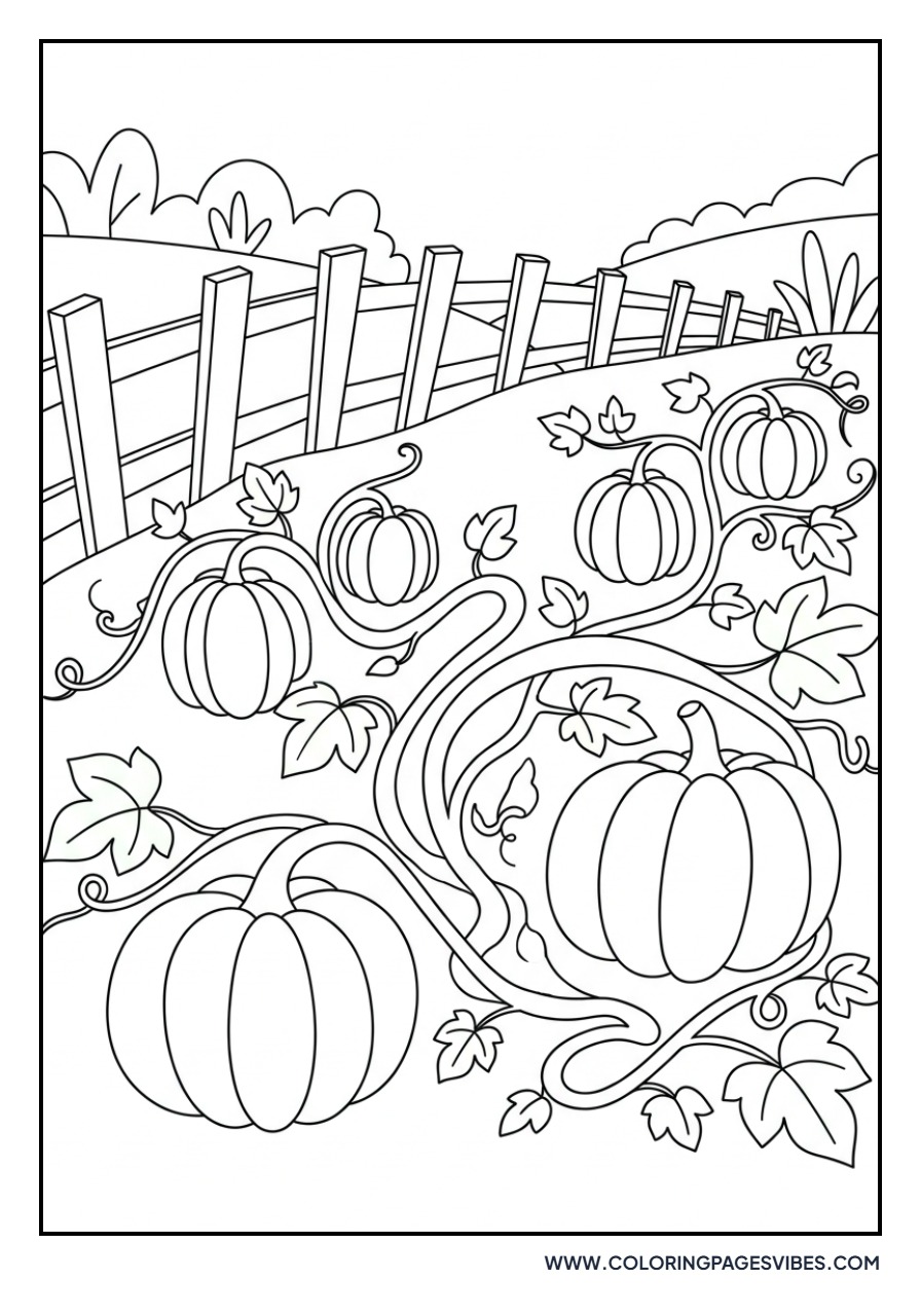 Pumpkin Patch Scene