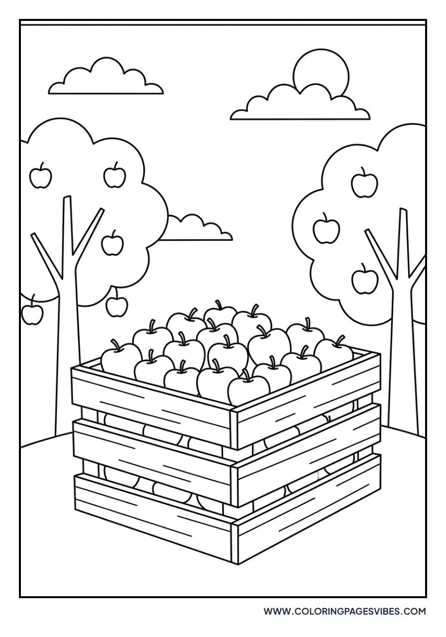 Apple Bin in Orchard