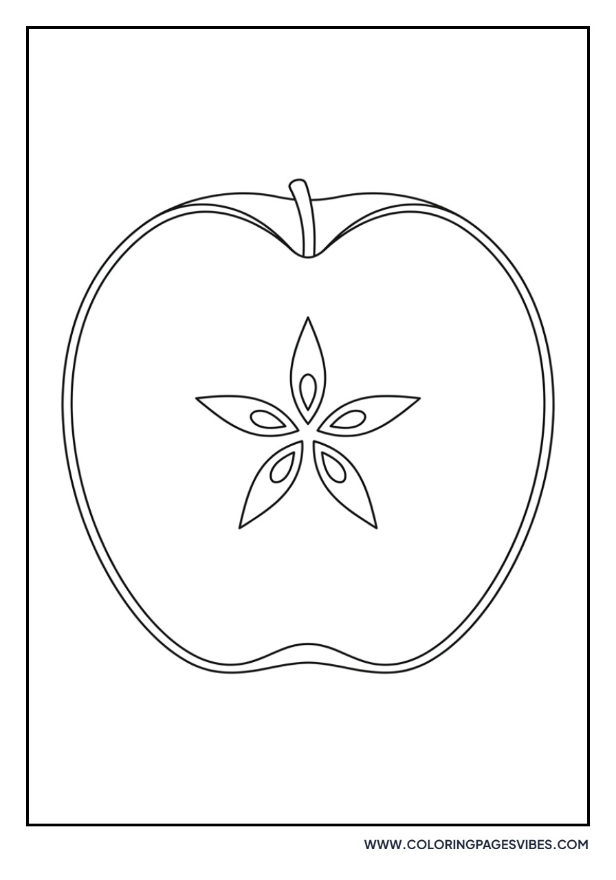 Apple Cross-Section Horizontal