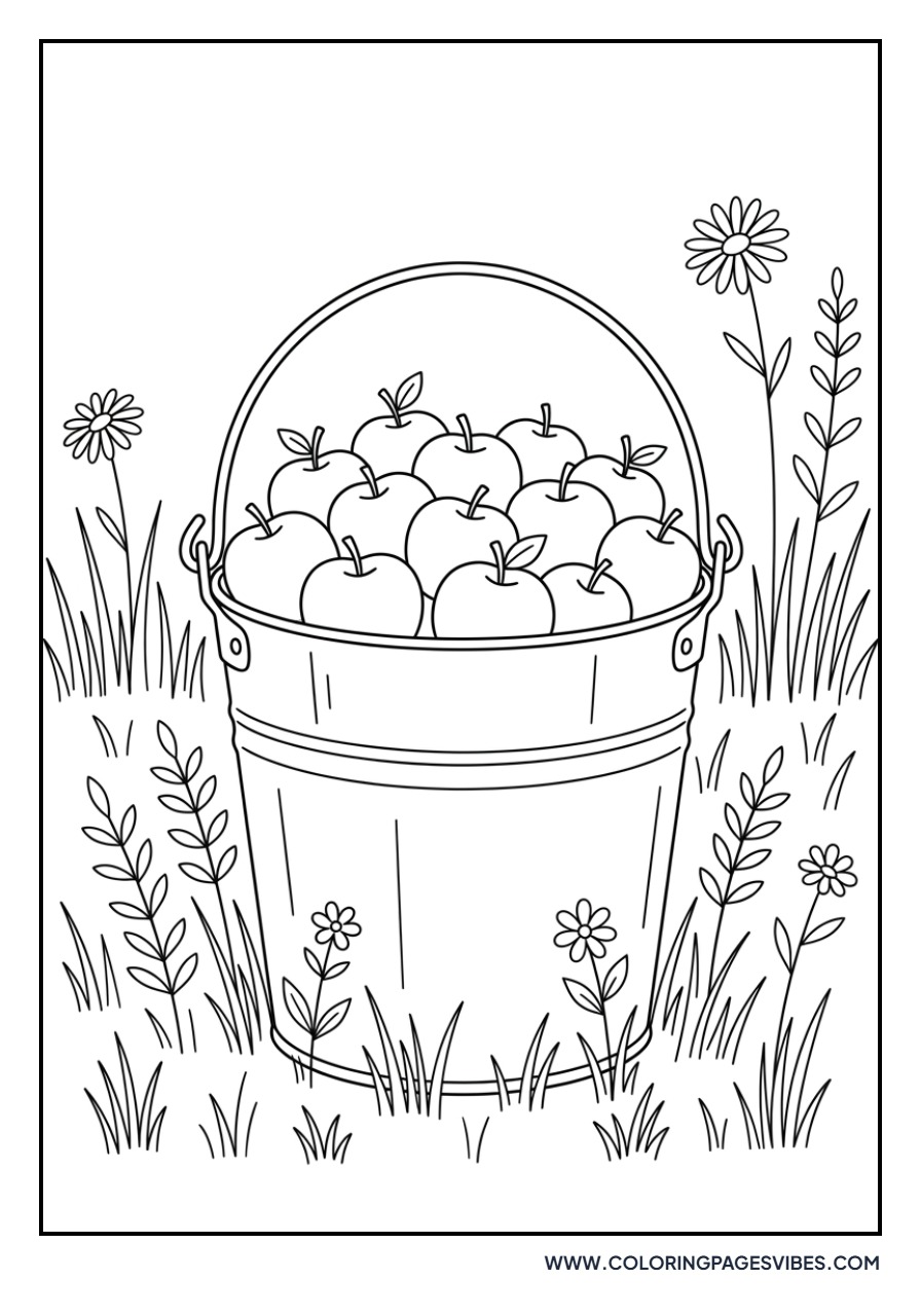 Apple in a Pail