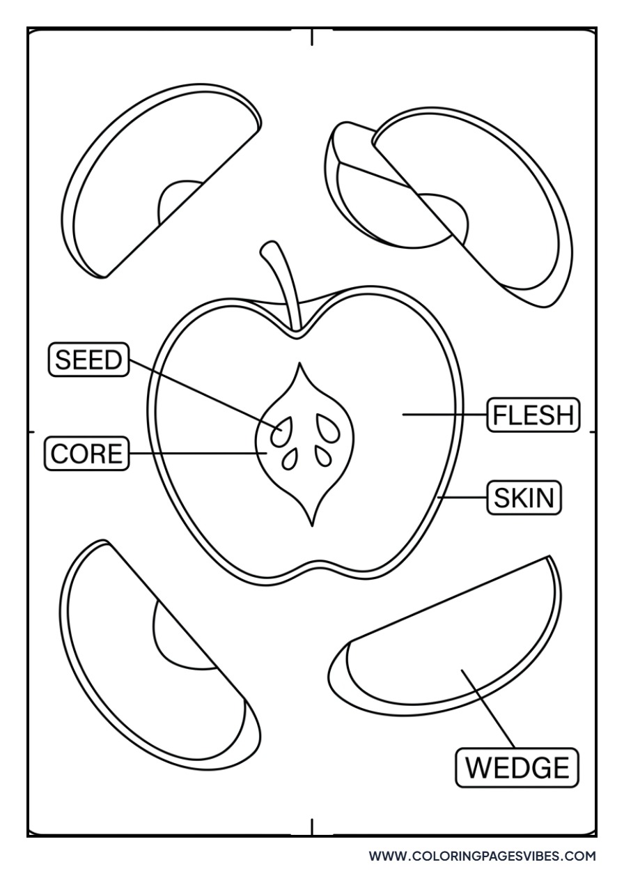Apple Slices and Wedges