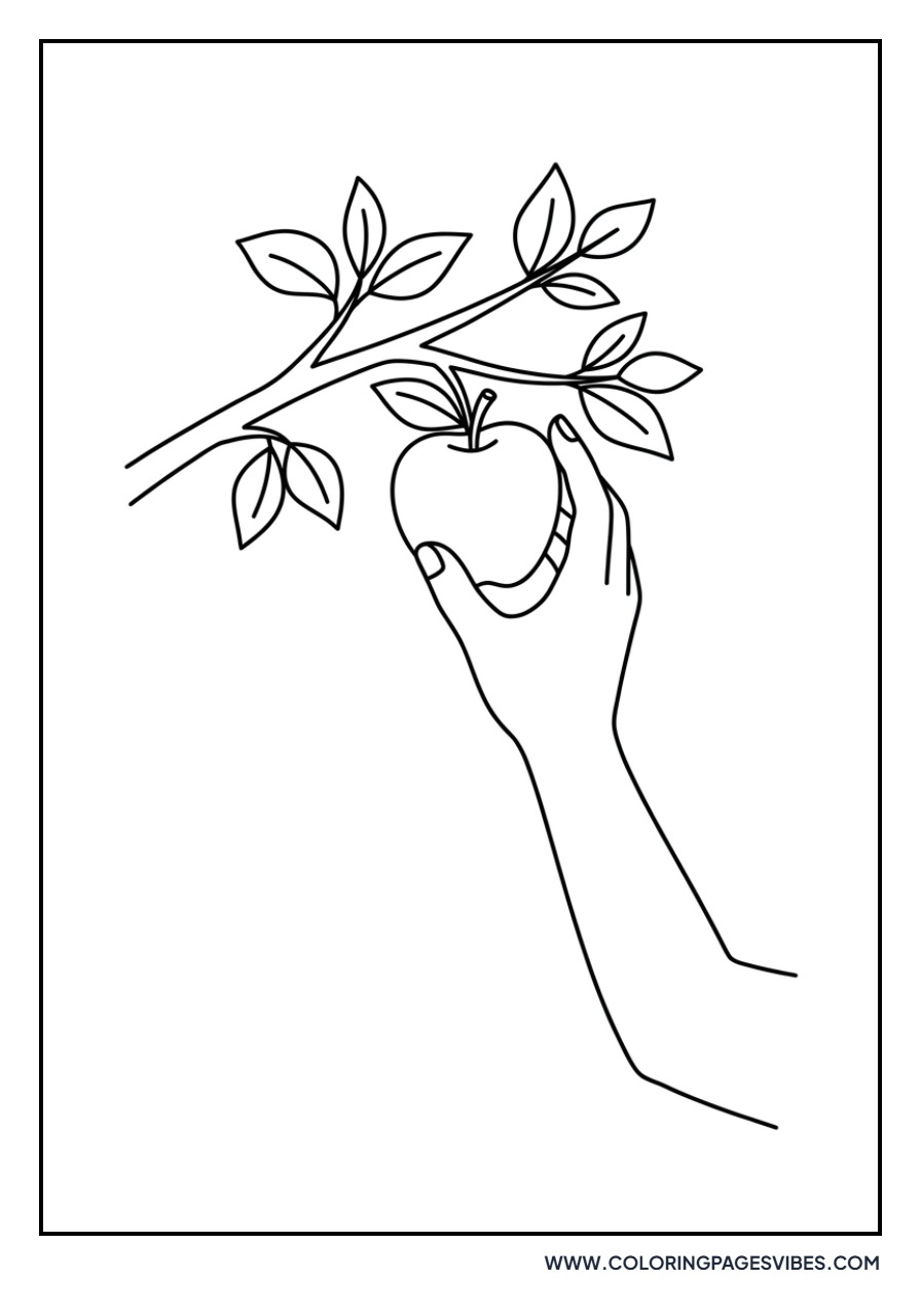 Hand Picking an Apple