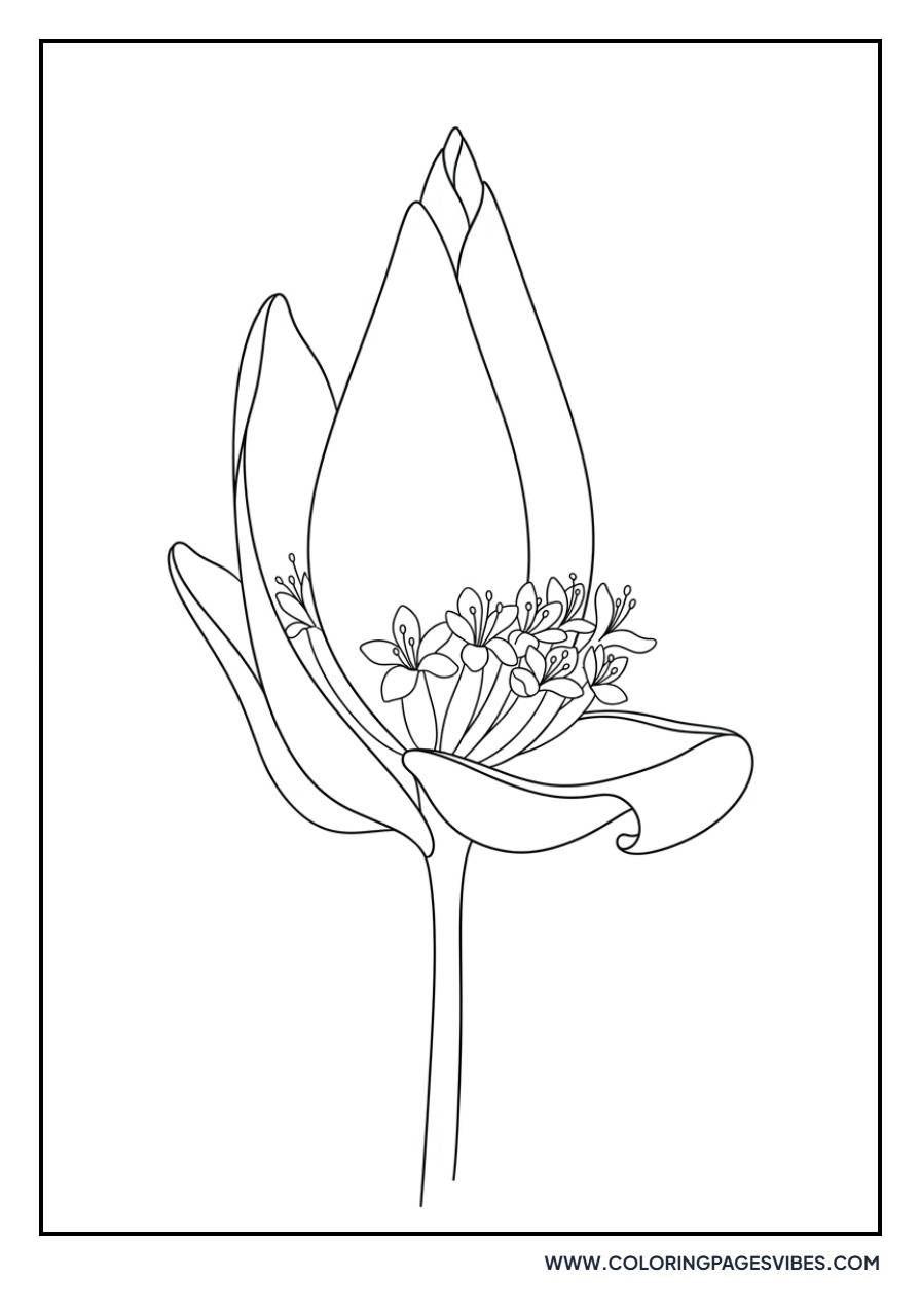 Banana Flower
